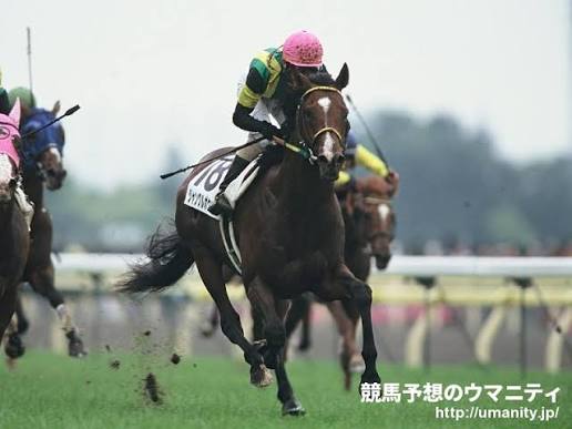Jungle Pocket at full stretch on the turf