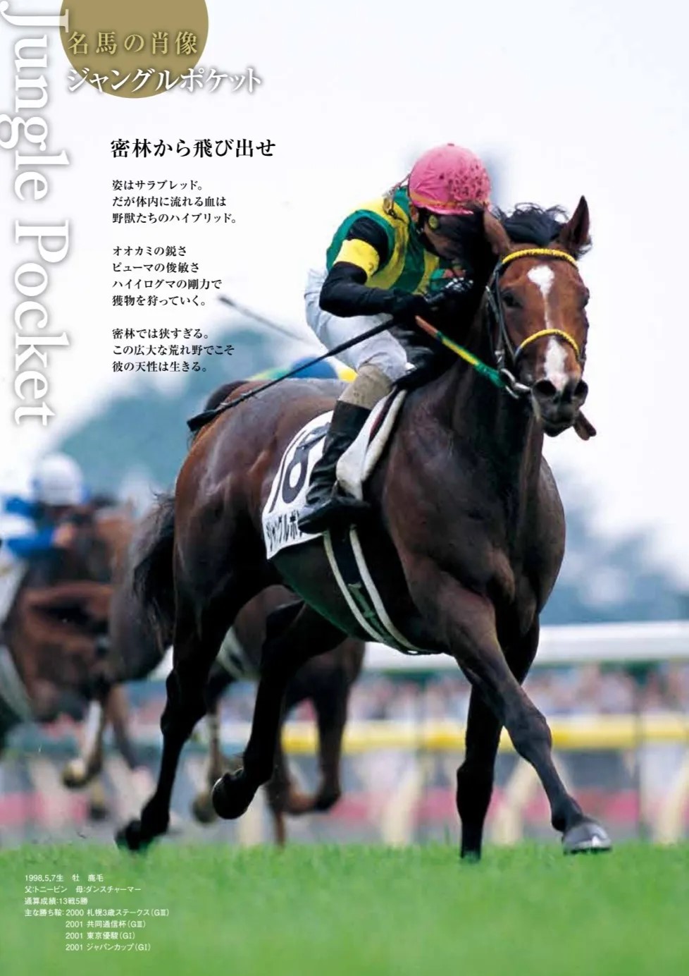 Magazine plate titled Portrait of a Great Horse: Jungle Pocket, showing him in full stride under Koichi Tsunoda